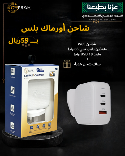 Ormac Plus 65W Dual-Port Type-C Charger HA-C002