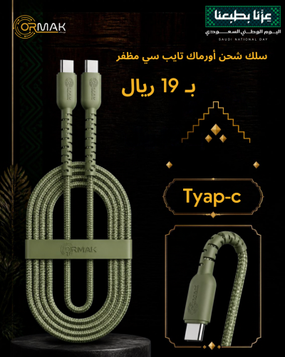 Ormac Type-C 60W Braided Charging Cable HA-K127 - Olive Green