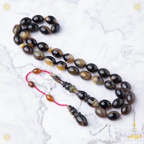 ترسة ظهر السلحفات