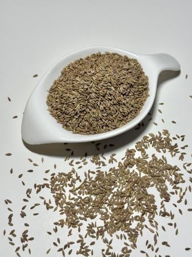 حيدوان حضرمي