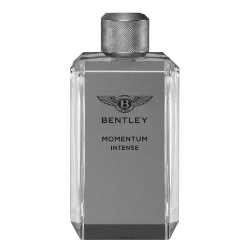 عطر بنتلي مومينتوم انتنس للرجال -100مل