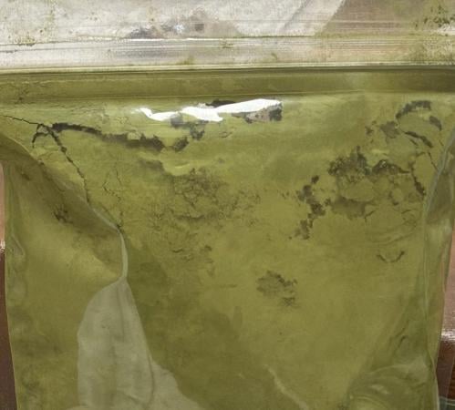 ماتشا زافراني درجة احتفالية فاخرة 1 كيلو