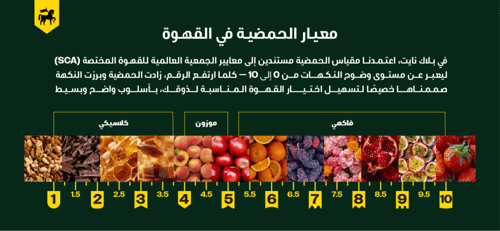 أظرف قهوة شيلشلي بلاك نايت