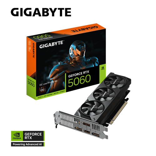 GIGABYTE GeForce RTX™ 5060 OC Low Profile 8GB | كر...