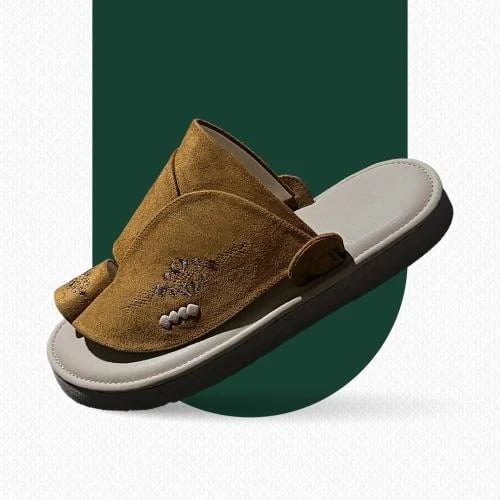 Embroidered Eastern shoe