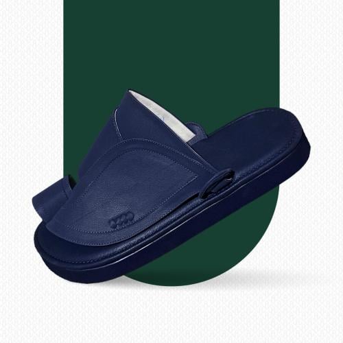 Embroidered Eastern shoe