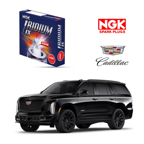 بواجي NGK ايريديوم ix الأصلية لكادليك سكاليد 2025-...