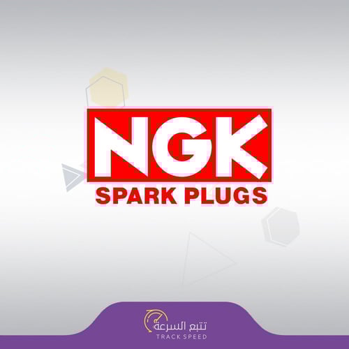 بواجي NGK V-POWE الأصلية للمحركات الامريكية TR55