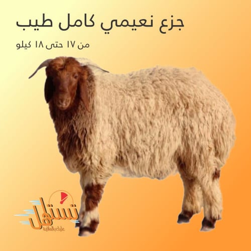 جزع نعيمي كامل طيب من 17 حتى18كيلو