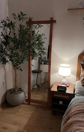 مرايه خشب كلاسيك خشب طبيعي