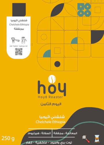 اليوم الثامن اثيوبيا شلشلي 250ج
