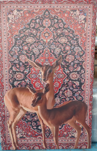 صورة غزلان , صورة زينة