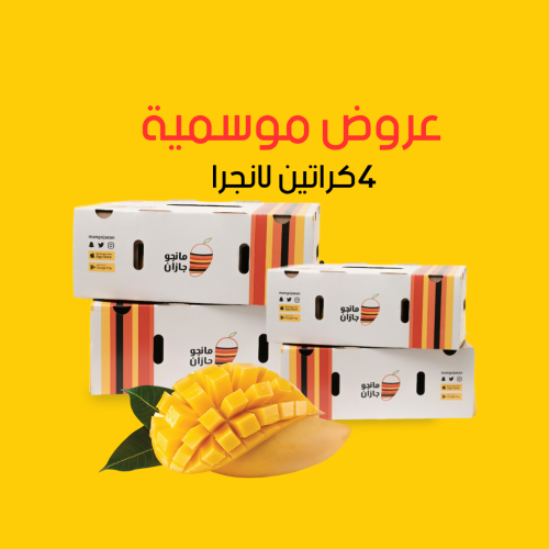 عرض مانجو لانجرا من جازان 4 كراتين | 12 كيلو