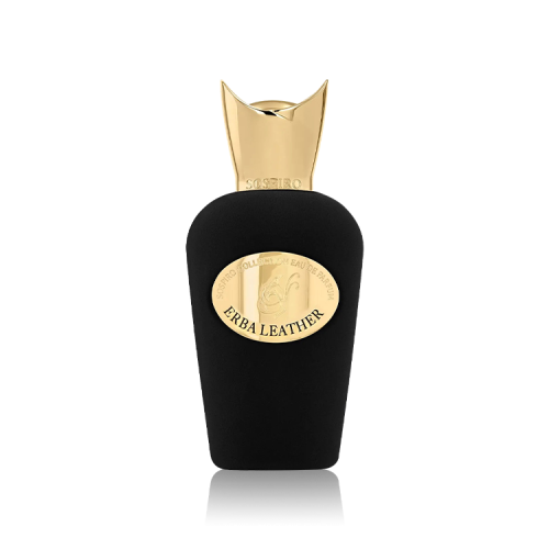 عطر سوسبيرو ايربا ليذر او دو بارفيوم 100مل