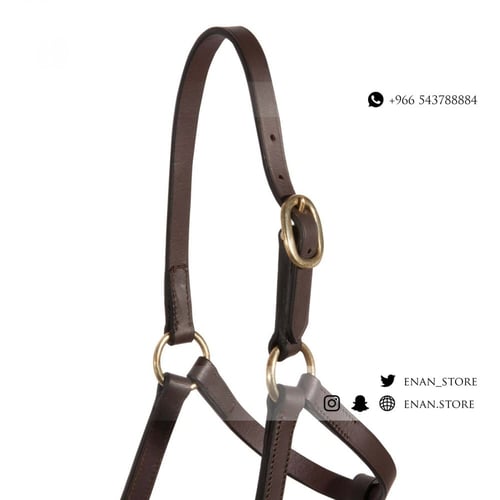 رشمة جلد فاخر مع مقود متصل (صغير)