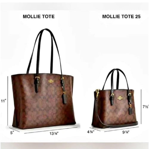 Coach Mollie Tote bag