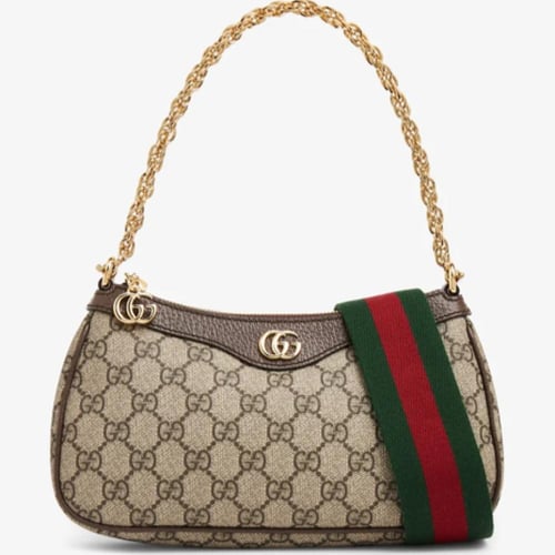 Gucci bag