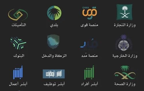 رفع شكوى في المنصات الحكومية