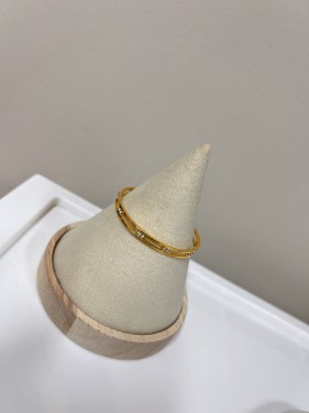 اسواره انيقه (غويشه)