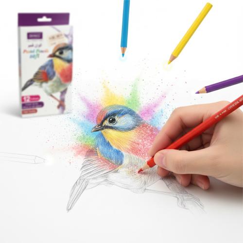 طقم الوان فحم 12 لون دنيا DO78846