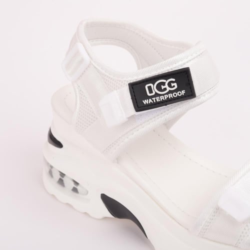 لوفلر راندال