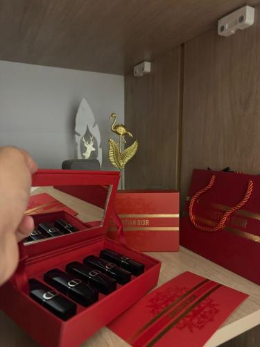 Dior mini lipstick set with accessories