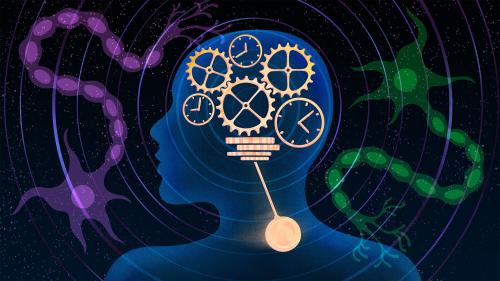 Brain Recovery and neuroplasticity