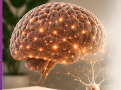 Neuro Fundation