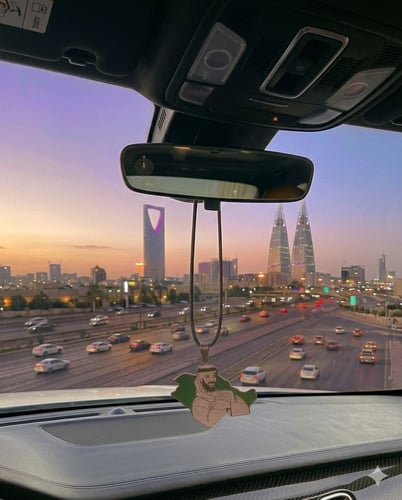 Commentary on the mirrors of Crown Prince Mohammed...