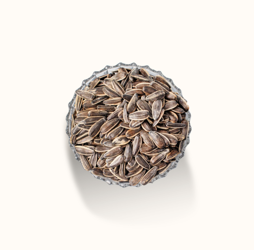 حب شمسي خام