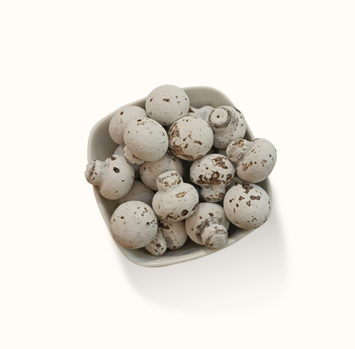 دراجيه مشروم شوكلاته وحليب