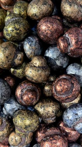 مشروم معدني