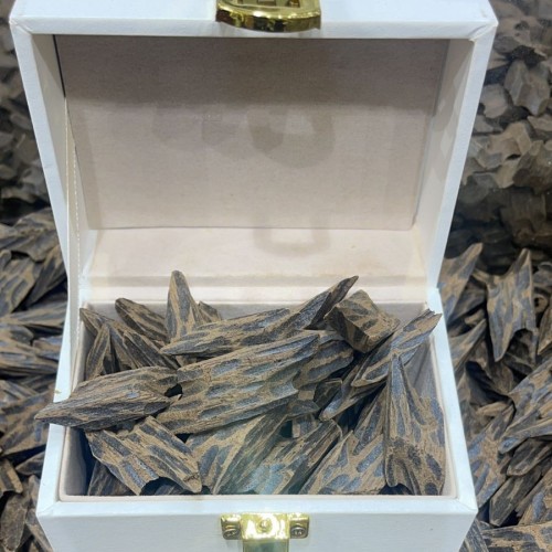 عود كمبودي تايقر