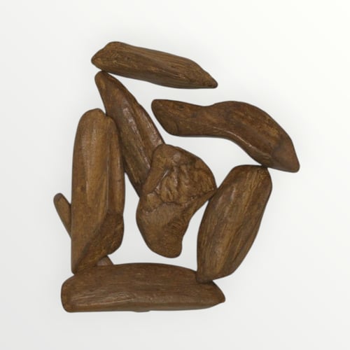 موروكي المناسبات محسن فاخر حجم مباخر