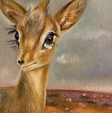 لوحه غزال الريم A3