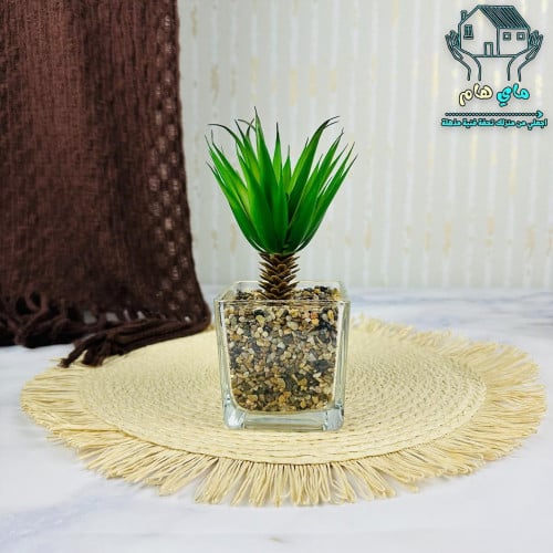 شجر صناعي بحوض زجاج شفاف، عصري و أنيق