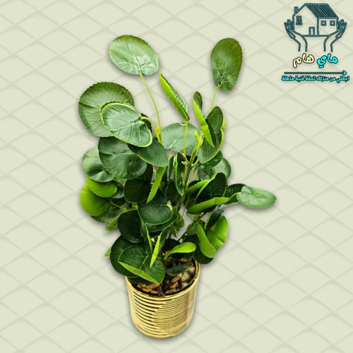 شجر صناعي بحوض سيراميك ذهبي أنيق مقاس كبير، 12*40...