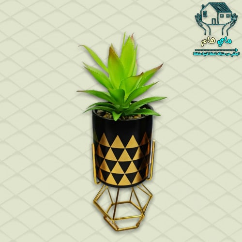 نبات الصبار الصناعي بحوض سيراميك مثلثات أنيق مع قا...