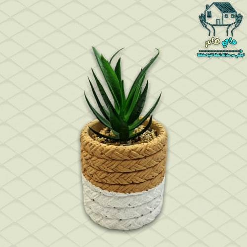 نبات الصبار الصناعي بحوض حجري أنيق، 8*17 سم
