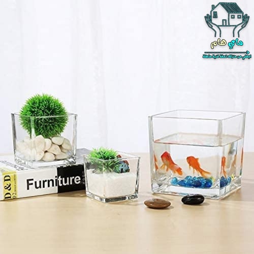 فازة مربع زجاج شفاف، 12 قطعة، مقاس 5*5 سم