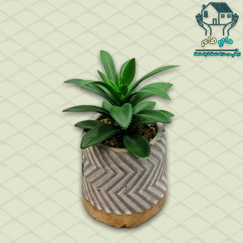 نبات الصبار الصناعي بحوض حجري، 7*13 سم