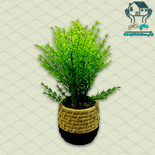 نبات الصبار الصناعي بحوض حجري أنيق، 10*29 سم