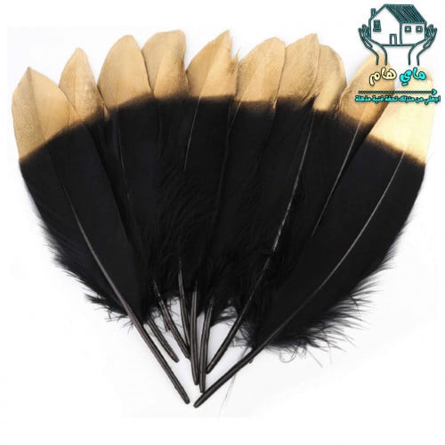 ريش فنون وحرف يدوية اسود باطراف ذهبية، مجموعة من 1...