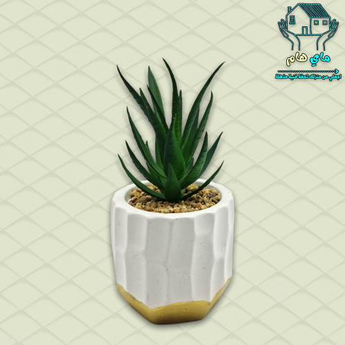 نبات الصبار الصناعي بحوض حجري أنيق، 8*14 سم