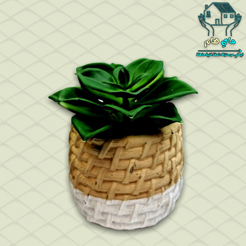 نبات الصبار الصناعي بحوض حجري، 8*11 سم