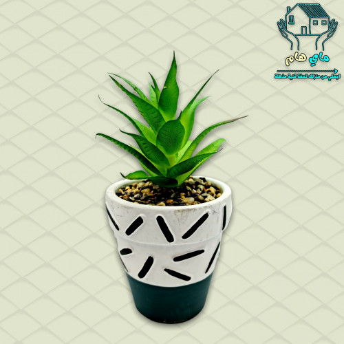 نبات الصبار الصناعي بحوض حجري أنيق، 10*20 سم