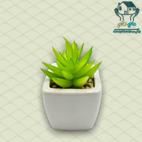 نبات الصبار الصناعي بحوض سيراميك أنيق صغير، 5*8 سم