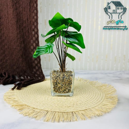 شجر صناعي بحوض زجاج شفاف، عصري و أنيق