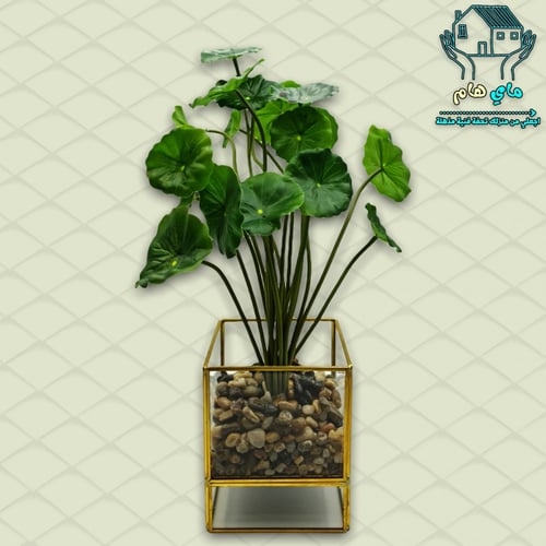 شجر صناعي بحوض زجاج بأطراف حديد ذهبي أنيق، 10*34 س...