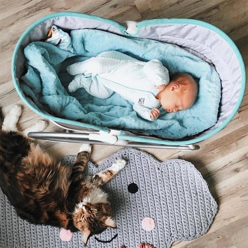 كرسي الأطفال الهزاز 3 في 1 روكر نابر من آي بيبي